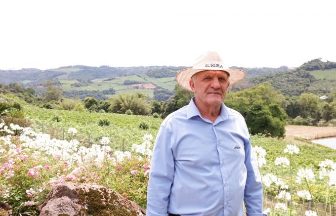 Cooperativa Vinícola Aurora celebra 94 anos com investimentos em inovação do campo à indústria